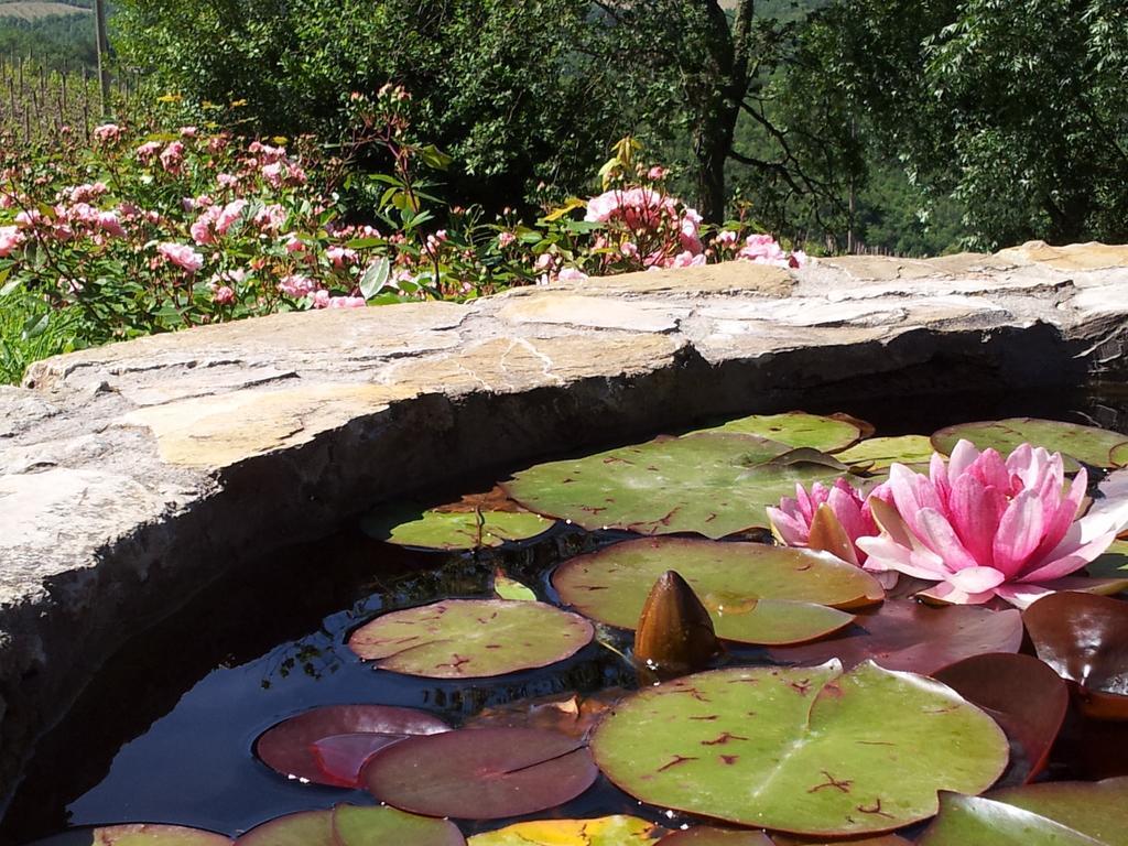 Fattoria Poggerino Bed & Breakfast Radda in Chianti Cameră foto