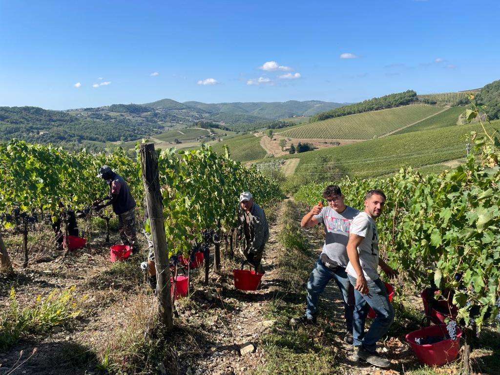 Fattoria Poggerino Bed & Breakfast Radda in Chianti Exterior foto