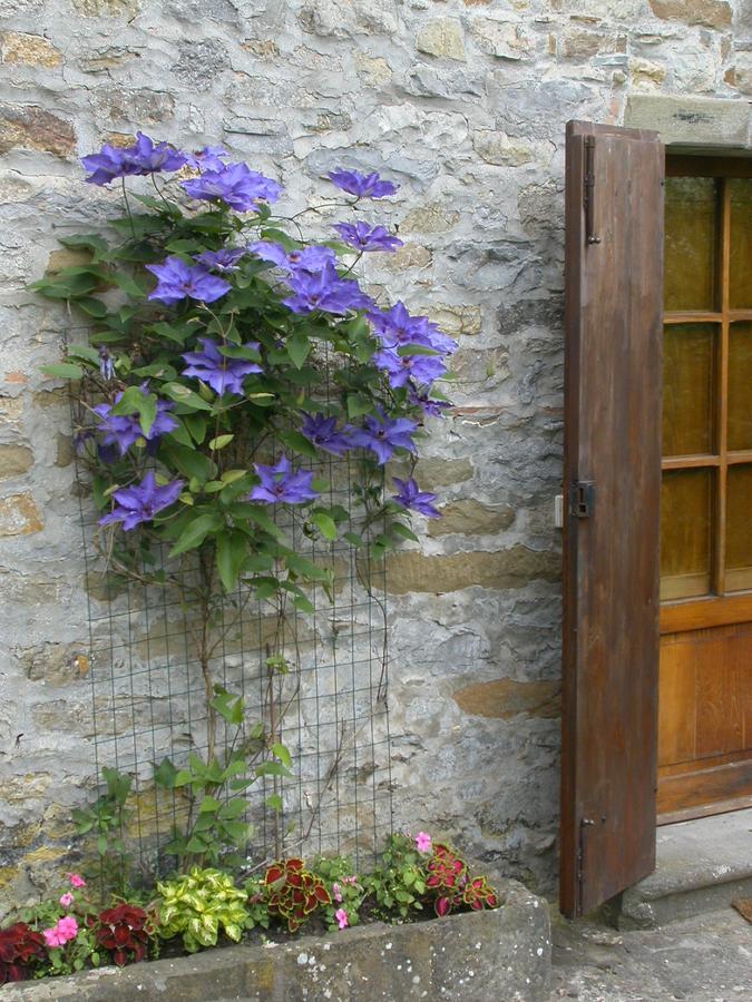 Fattoria Poggerino Bed & Breakfast Radda in Chianti Exterior foto